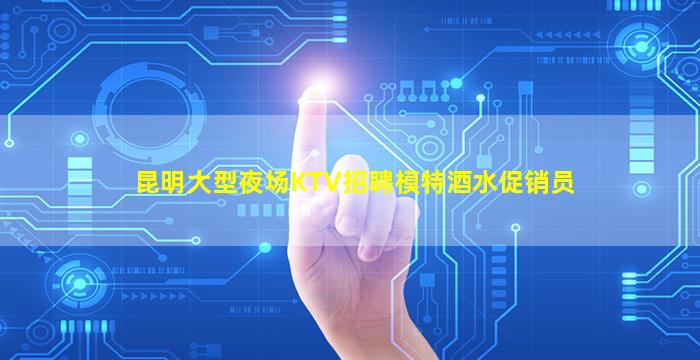 昆明大型夜场KTV招聘模特酒水促销员